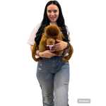 8d87416f9fc29b516712278367d1bc71