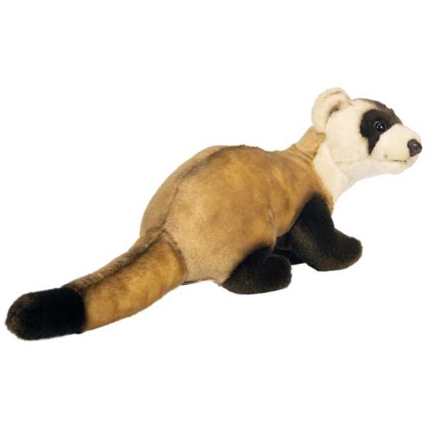 77672fd880471b76748f0fc7e09c829c