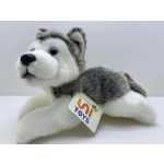 b1009f511ab1597592e2b1c5522095a9