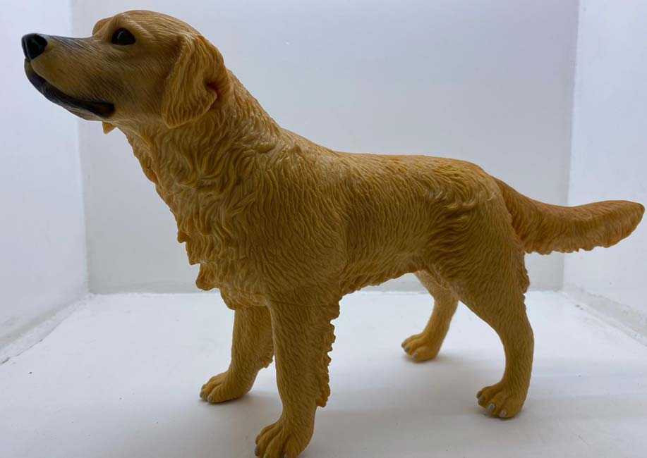 Caine-de-cauciuc_7141__10515.1711107987.1280.1280.jpg a27615bf001509bf00171c1024799df1