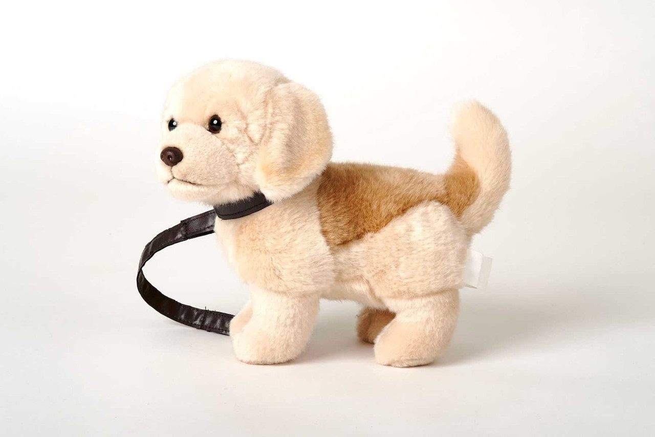 Caine-de-plus-Labrador-Golden-Retriever-cu-lesa-23cm-nat-geo_10529__18321.1711123381.1280.1280.jpg cf78f975cbcecd38e3fd3487da1f8dc8