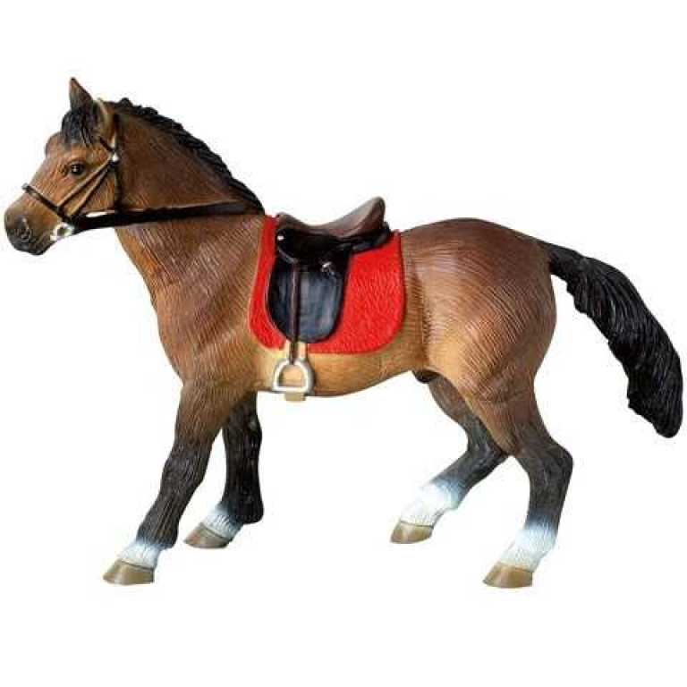 b6494a205595b2dd579aceb8846a5147