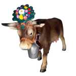 fdd3dfddf2a23e722c565d80fd62f157