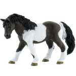 fcc781c75fe2136a285d07a4ecdfbdc7