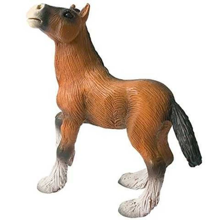 662c7ffdc80aef9489a7434595de3620