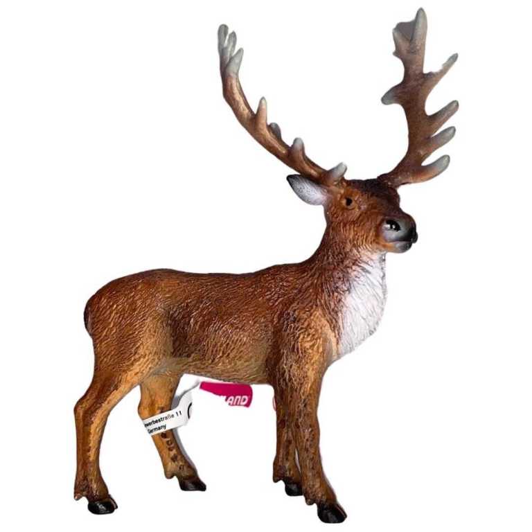 cf05ba0897c81044716d29b28fadd803