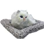 9983bae5ef509dcae41236c61dabf88e