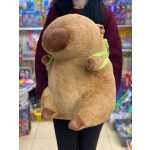 4ed57f3495176c32514a999c7ac5f595