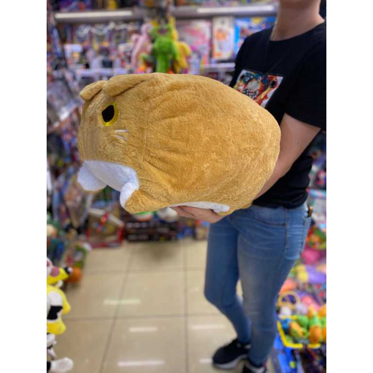 b4794fcf592741017efcd1f71d53953a