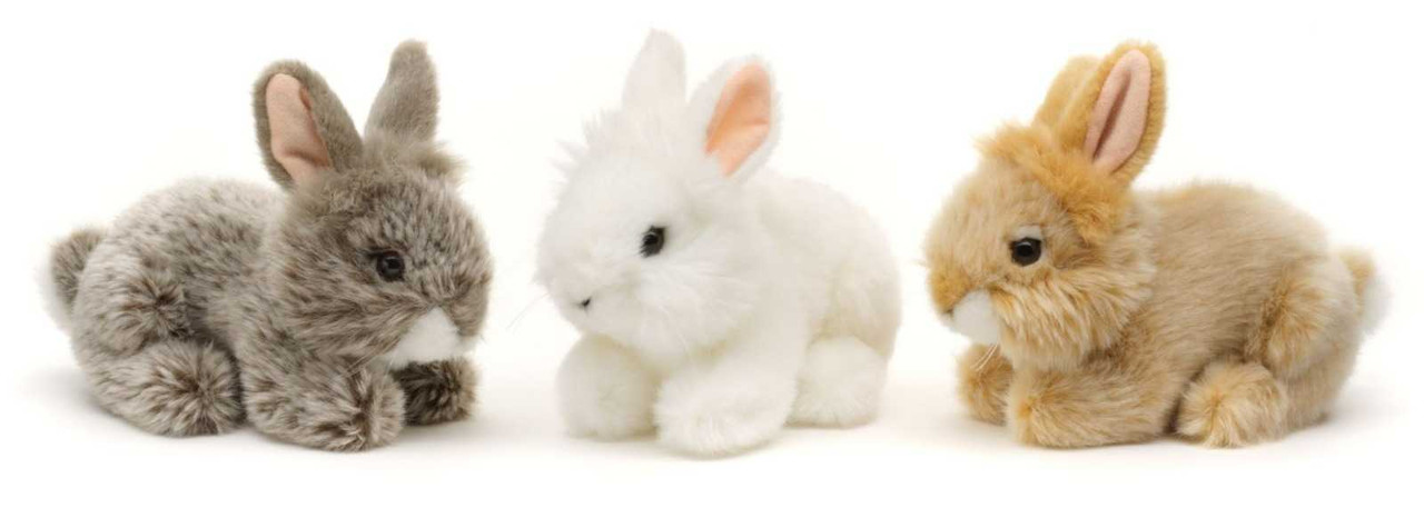 Iepuras-Angora-de-plus-18-cm-umplutura-ecologica_40666__14242.1743758269.1280.1280.jpg 1c644299b4c481f30f1fe2a755ac3d62