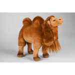 18876bc716a876bdab70e9e31ffcb74d