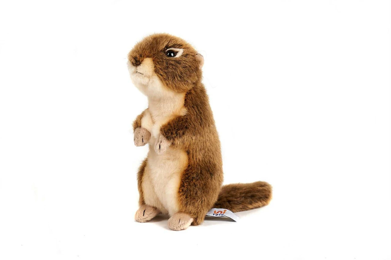 Jucarie-Marmota-de-plus-20cm-nat-geo_11221__80546.1711126796.1280.1280.jpg a1bc50972a86351d1bb64c4fb2b25803