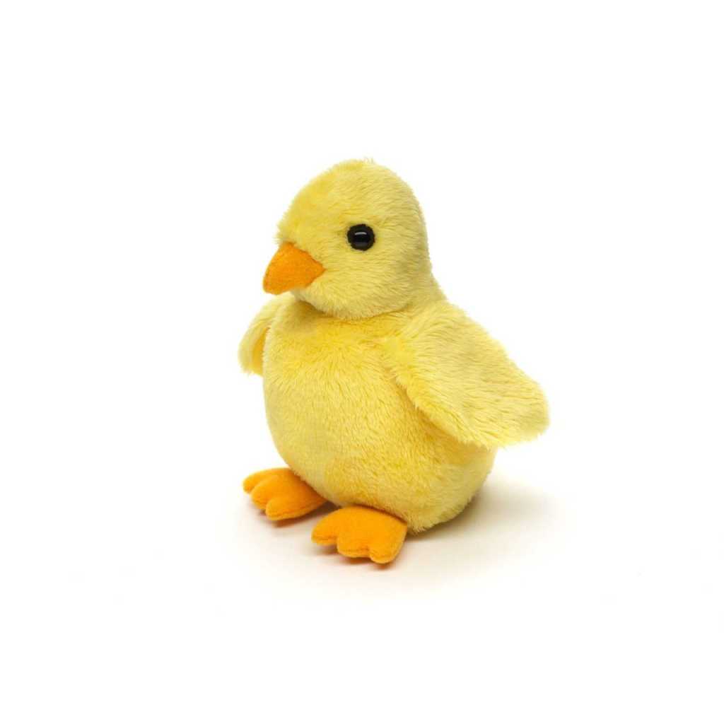 502616466309002c3f8af5585a570899