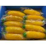 ff6ae3e35dd545d0b31ee83515cfb204