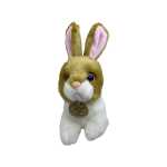 1a57191c323da76eab376cdcf17e7ada