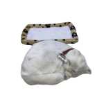 4d228cf3c1595c32f9fcce40bbd9040f