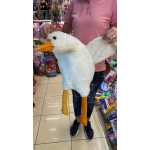 c8ef8256a8ec54b4ef562abbb6c3a859