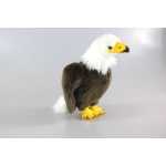 713ce27d548a0042adfe9627eefee8eb