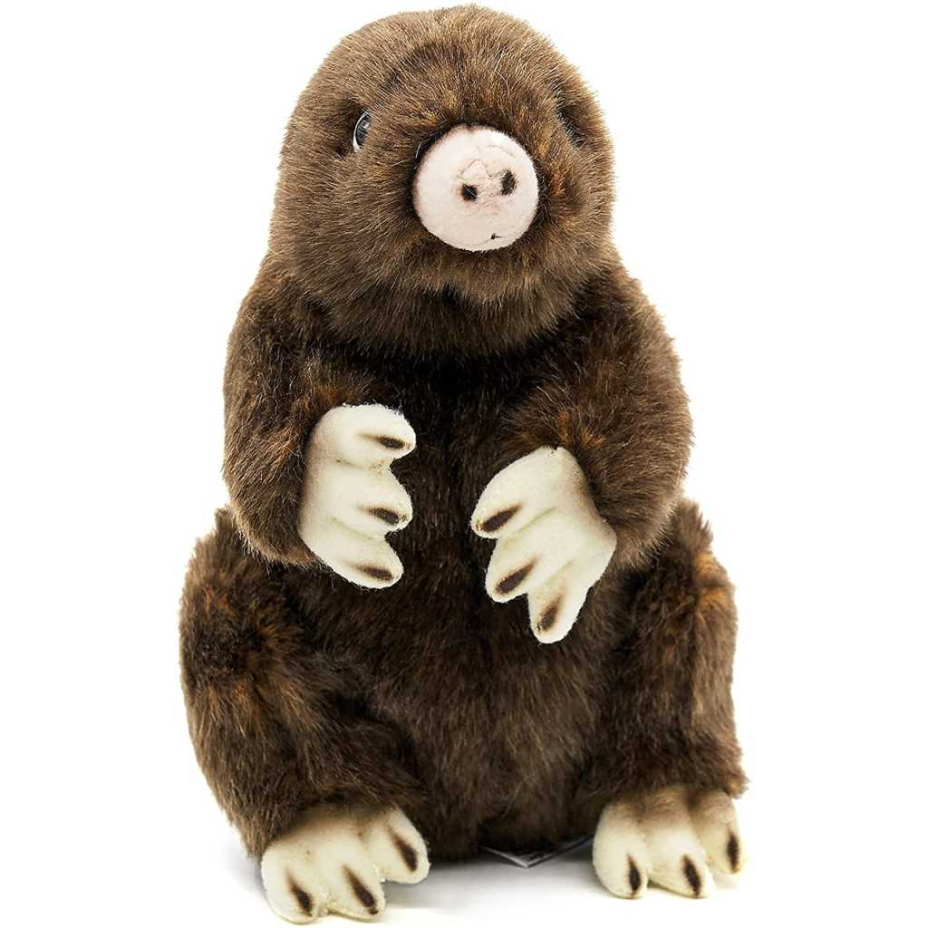 dd8e1c4a54311a483d62380f24b49dd2