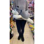 672da8effbfbbe53c8f1445100b34423