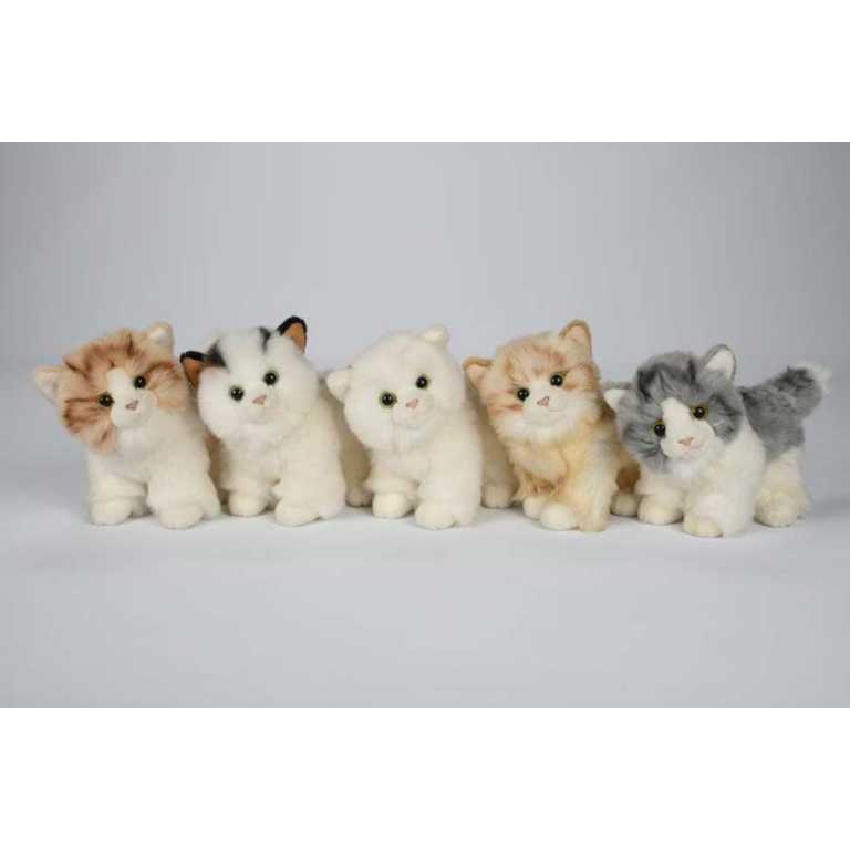 bac83e257aa7f38c2ec32194a87530d8