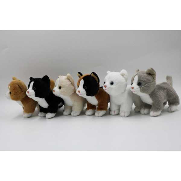 5d20f8d48c2099c473731f15dd8aa249