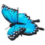 9a9e69017f17fe02ef4382b3e9376705