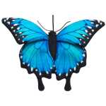 40a041107c2a75f4fc18a104f69fe591