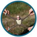 53ae95357dfcb2fa64851ef124c08bbd