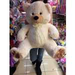 5fab6322a235d157e02e2eb03031220a