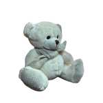 8a528ea74319a3020f5e797e94a54340