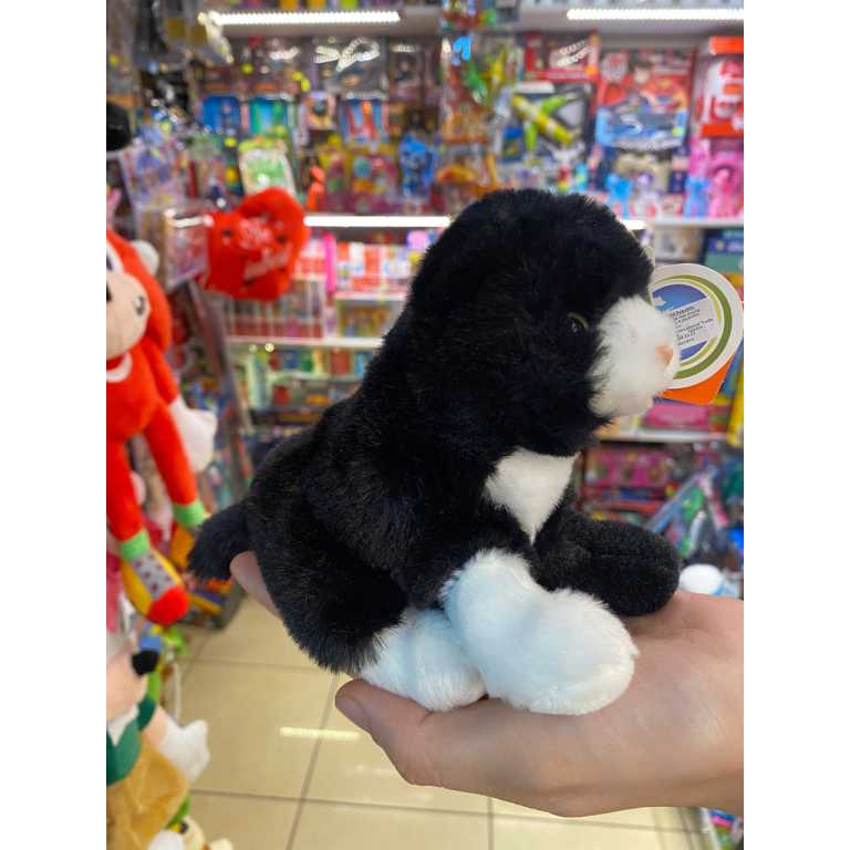 062d1a61f6533abc46835ac65d79883f