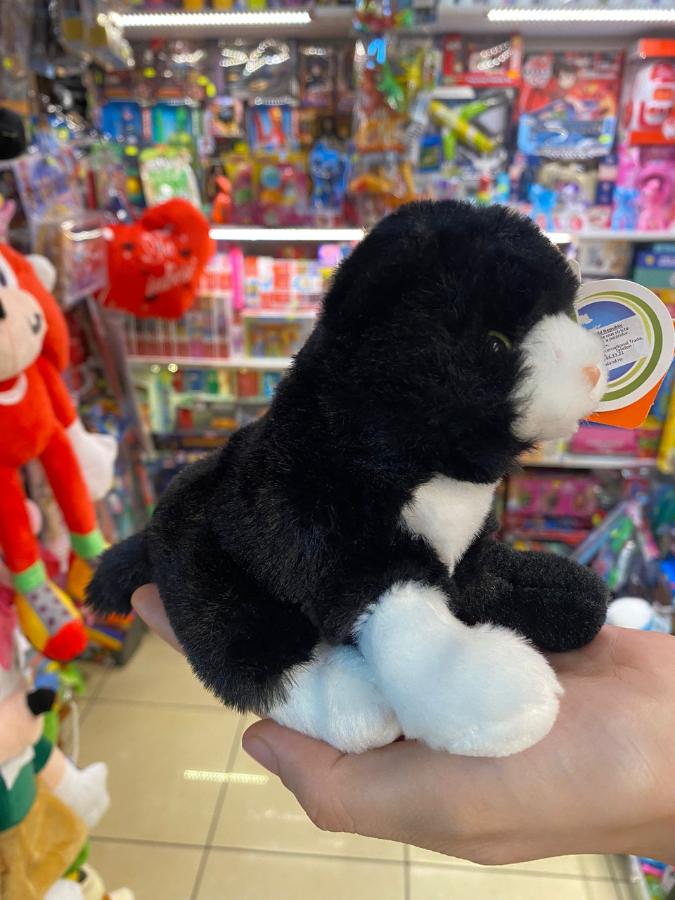 WhatsApp252520Image2525202022-06-10252520at25252014.18.41__62379.1710704542.1280.1280.jpg 062d1a61f6533abc46835ac65d79883f