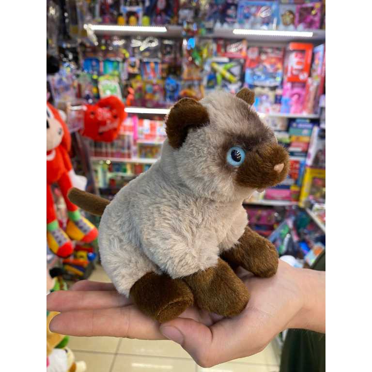 a223961899e921551ecae3442f606953