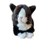 8d91228480e3bce9472c01d0b3395415