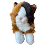 37f59809076afb4b4e9c317f2134f522