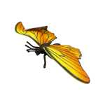 6c8839d087986bd077ee1fce2d1b0728