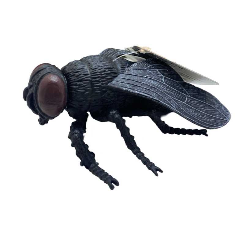 e3ab2c0c837e2203489b439782442d4d