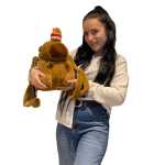 b22be25d5cc6e69841a5bde9fbbb9f2a