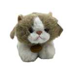 470824a96d5d90c90ea362d48284dfbc