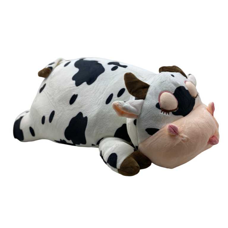 40f624700b534f84625ba8b93960bd2d