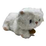 6fe6e57c5dc610307eb8fc09c72c984a