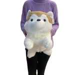 929261946f89a3005b471c6f92d4b034