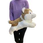 fc54b00984fe0896edce0da62f12007e