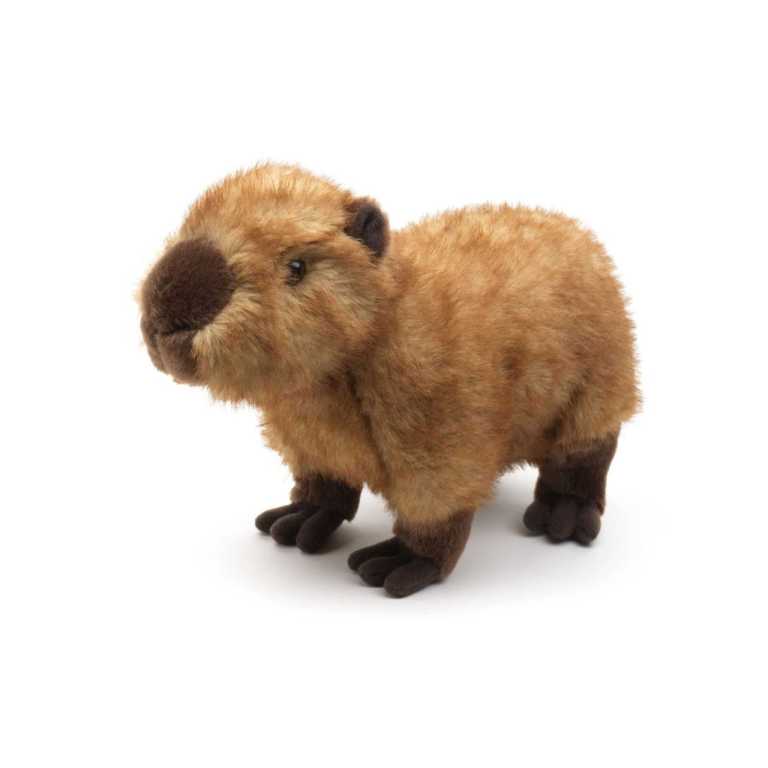 073ae8fd1d161e4456f5ea1d83808696