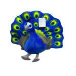 2e2b12324bf2edbfad099eb845852c91