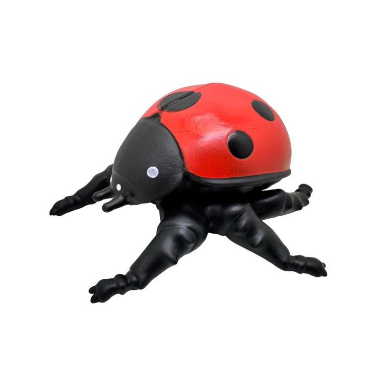 Jucarie Buburuza Mare 6 Picioare