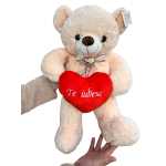 Ursulet crem 60cm cu inimioara Te iubesc – plus moale cadou romantic - imagine 3