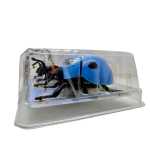 Set 3 insecte mecanice cu cheita jucarie copii insecte din plastic care merg - imagine 4