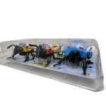 Set 3 insecte mecanice cu cheita jucarie copii insecte din plastic care merg - imagine 8